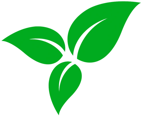 leaf icon