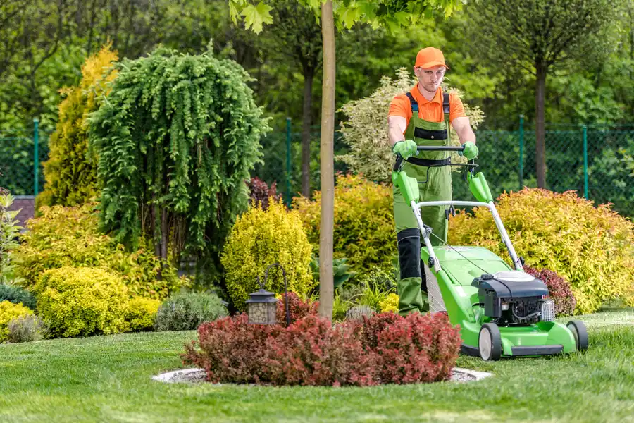 Full Lawn Maintenance